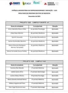 Leia mais sobre o artigo Resultado Processo Seletivo Bolsas VUEI