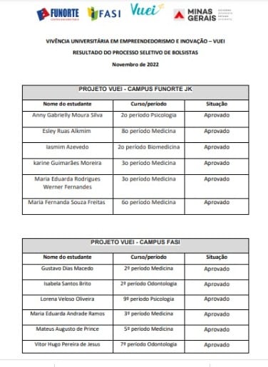 No momento, você está visualizando Resultado Processo Seletivo Bolsas VUEI